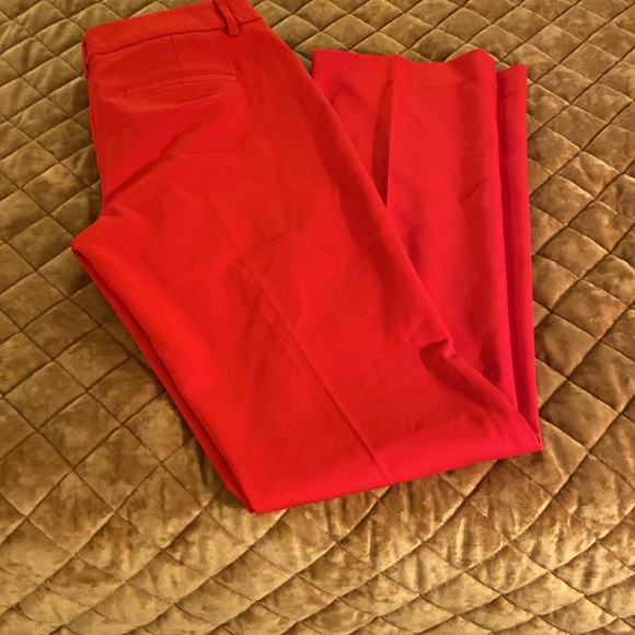 Express Red Pants - Picture 3 of 3